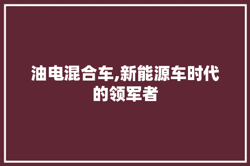 油电混合车,新能源车时代的领军者