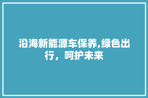 沿海新能源车保养,绿色出行，呵护未来