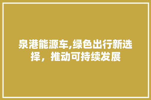 泉港能源车,绿色出行新选择，推动可持续发展