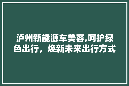 泸州新能源车美容,呵护绿色出行，焕新未来出行方式