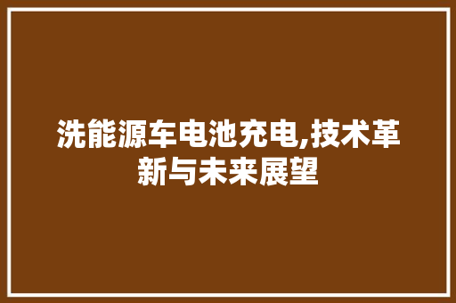 洗能源车电池充电,技术革新与未来展望