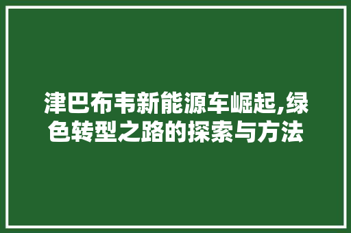 津巴布韦新能源车崛起,绿色转型之路的探索与方法
