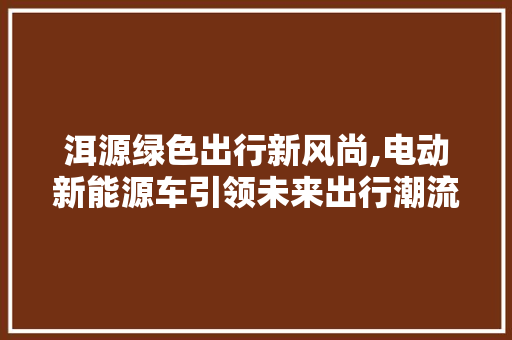 洱源绿色出行新风尚,电动新能源车引领未来出行潮流