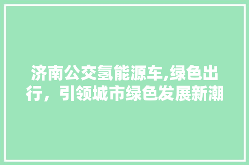 济南公交氢能源车,绿色出行，引领城市绿色发展新潮流