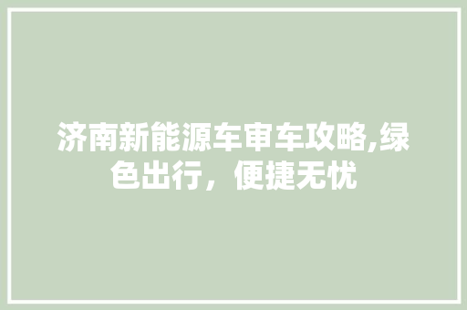 济南新能源车审车攻略,绿色出行，便捷无忧