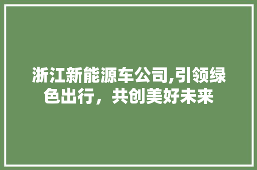 浙江新能源车公司,引领绿色出行，共创美好未来