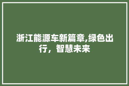 浙江能源车新篇章,绿色出行，智慧未来