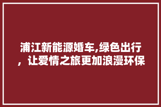 浦江新能源婚车,绿色出行，让爱情之旅更加浪漫环保