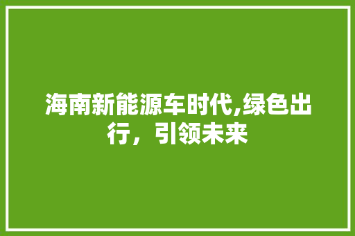 海南新能源车时代,绿色出行，引领未来
