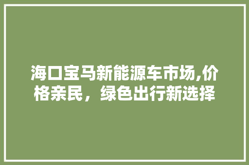 海口宝马新能源车市场,价格亲民，绿色出行新选择
