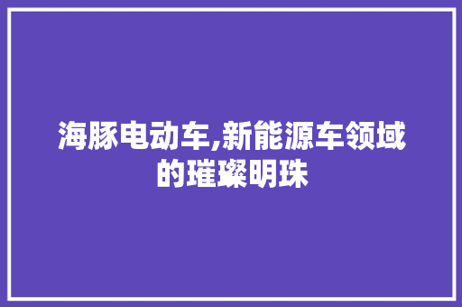 海豚电动车,新能源车领域的璀璨明珠