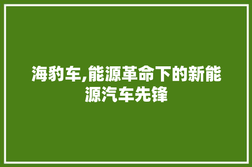 海豹车,能源革命下的新能源汽车先锋
