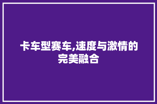 卡车型赛车,速度与激情的完美融合