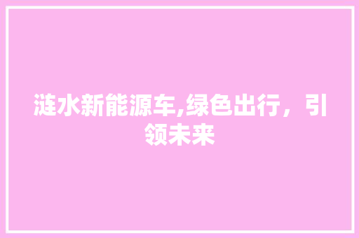 涟水新能源车,绿色出行，引领未来