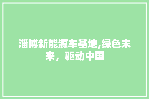 淄博新能源车基地,绿色未来，驱动中国