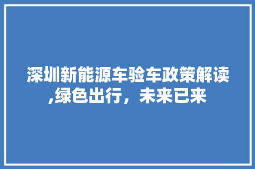 深圳新能源车验车政策解读,绿色出行，未来已来