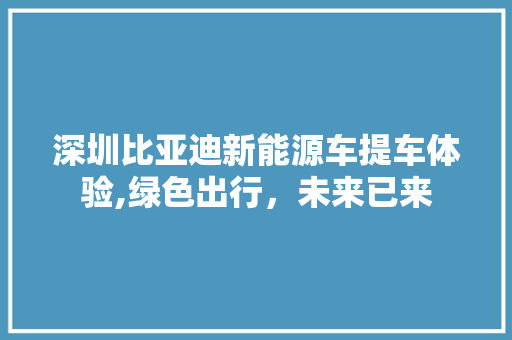 深圳比亚迪新能源车提车体验,绿色出行，未来已来
