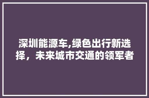 深圳能源车,绿色出行新选择，未来城市交通的领军者