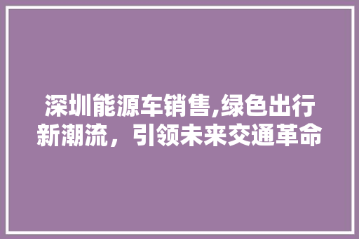 深圳能源车销售,绿色出行新潮流，引领未来交通革命