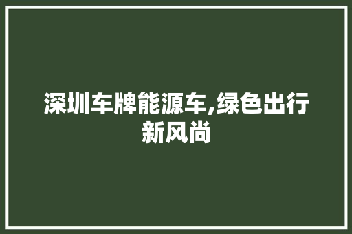 深圳车牌能源车,绿色出行新风尚