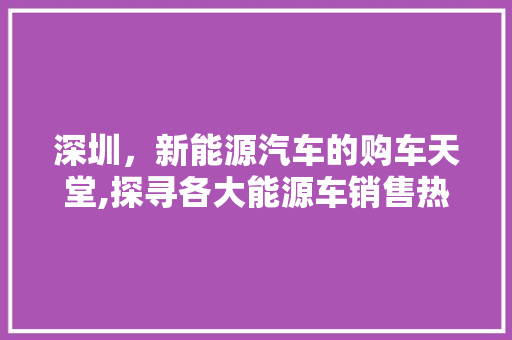 深圳，新能源汽车的购车天堂,探寻各大能源车销售热地
