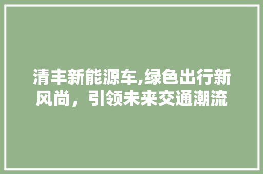 清丰新能源车,绿色出行新风尚，引领未来交通潮流