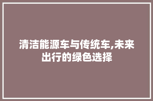 清洁能源车与传统车,未来出行的绿色选择