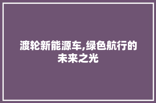 渡轮新能源车,绿色航行的未来之光