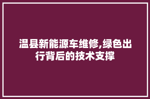 温县新能源车维修,绿色出行背后的技术支撑
