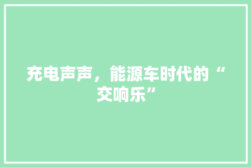 充电声声，能源车时代的“交响乐”