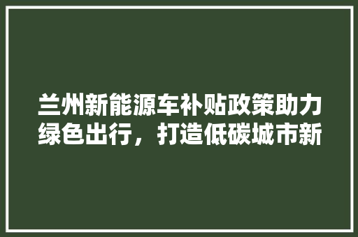 兰州新能源车补贴政策助力绿色出行，打造低碳城市新篇章