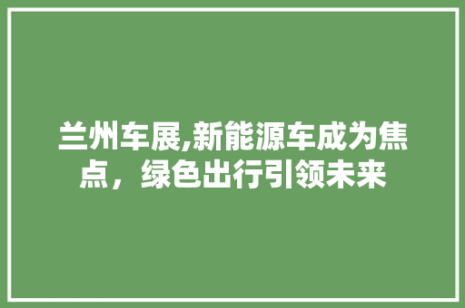 兰州车展,新能源车成为焦点，绿色出行引领未来 汽车配件