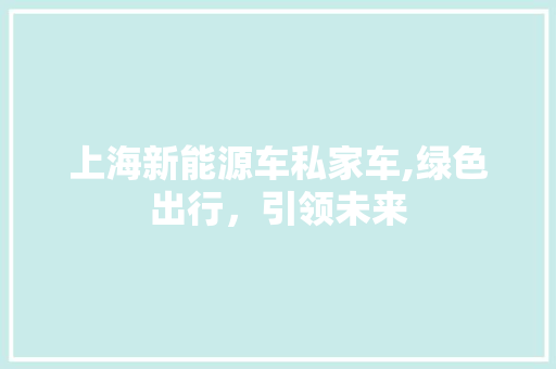 上海新能源车私家车,绿色出行，引领未来 汽车配件