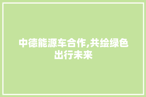 中德能源车合作,共绘绿色出行未来 车身配件