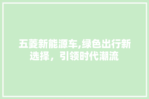 五菱新能源车,绿色出行新选择，引领时代潮流
