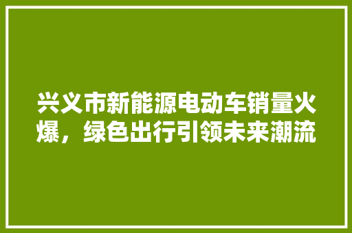 兴义市新能源电动车销量火爆，绿色出行引领未来潮流