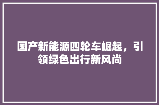 国产新能源四轮车崛起，引领绿色出行新风尚