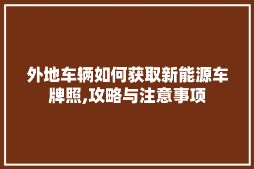 外地车辆如何获取新能源车牌照,攻略与注意事项