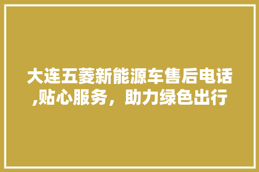 大连五菱新能源车售后电话,贴心服务，助力绿色出行 发动机配件