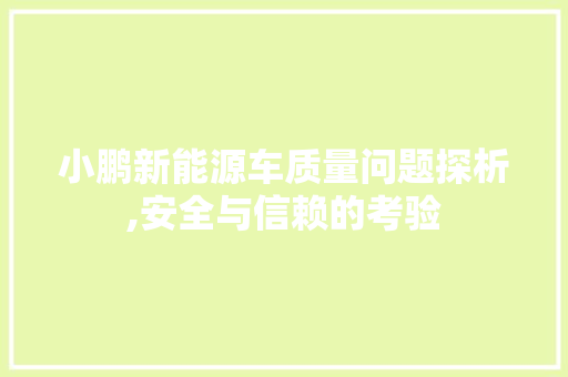 小鹏新能源车质量问题探析,安全与信赖的考验