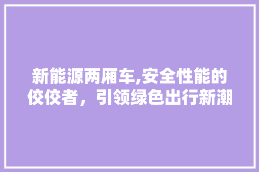 新能源两厢车,安全性能的佼佼者，引领绿色出行新潮流