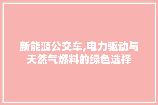 新能源公交车,电力驱动与天然气燃料的绿色选择