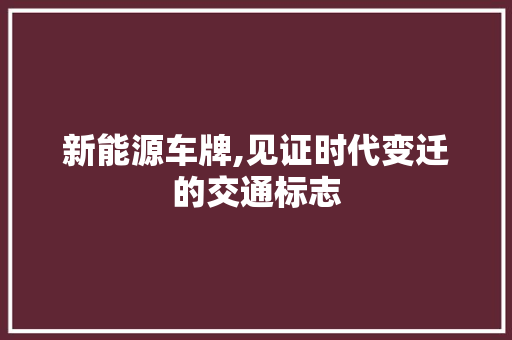 新能源车牌,见证时代变迁的交通标志