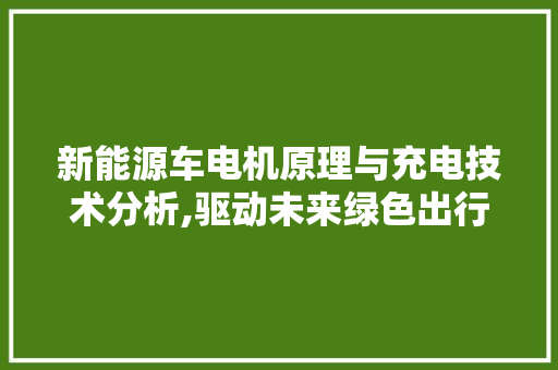 新能源车电机原理与充电技术分析,驱动未来绿色出行