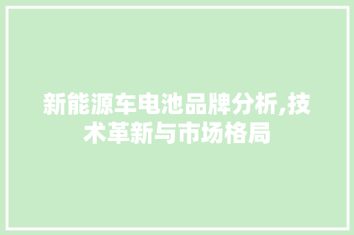 新能源车电池品牌分析,技术革新与市场格局