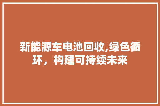 新能源车电池回收,绿色循环，构建可持续未来
