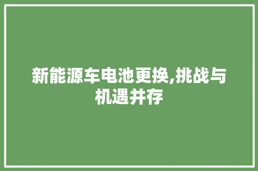 新能源车电池更换,挑战与机遇并存
