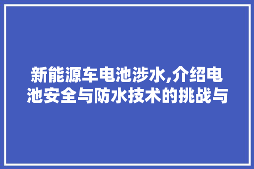 新能源车电池涉水,介绍电池安全与防水技术的挑战与未来