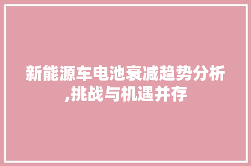 新能源车电池衰减趋势分析,挑战与机遇并存