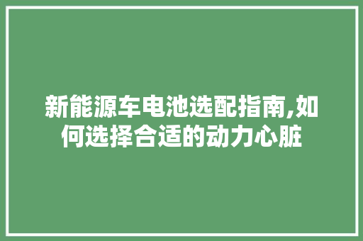 新能源车电池选配指南,如何选择合适的动力心脏